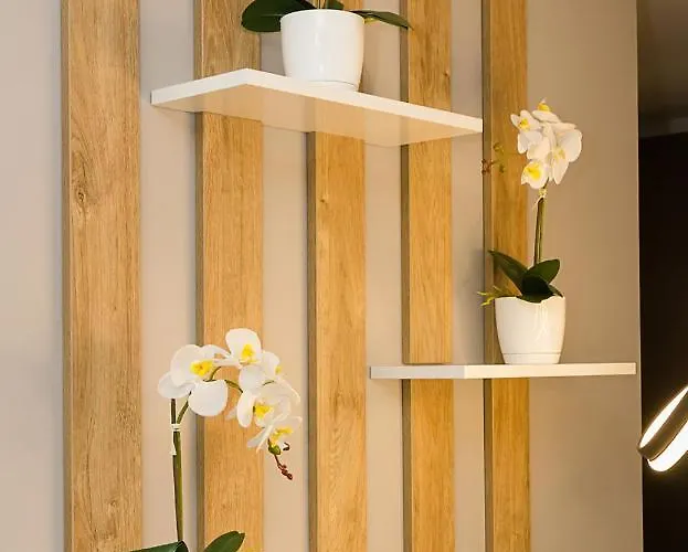 アパート Modern Seaside Retreat 1bd By Flat Mаnager ヴァルナ